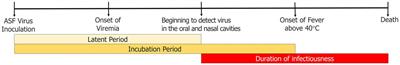 Estimating the time of infection for African swine fever in pig farms in Korea